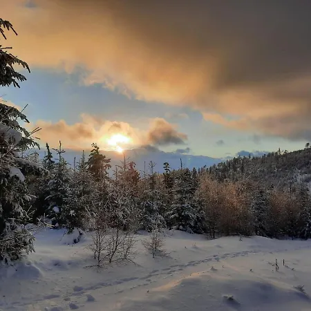 Nasze Miejsce * Lomnica (Walbrzych)