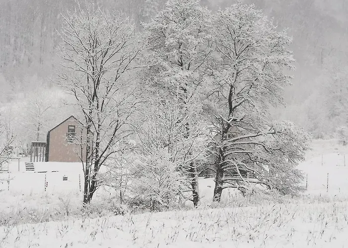Ferienhaus Nasze Miejsce Lomnica (Walbrzych)