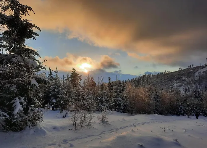 Nasze Miejsce * Lomnica (Walbrzych)